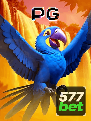 577BET bônus — cashback 15 por cento e níveis VIP