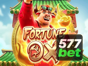 577BET login — painel de entrada no app oficial